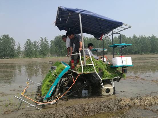  國家重點研發(fā)項目“江蘇單季粳稻區(qū)水稻化肥農藥減施增效技術集成與示范” 技術培訓與現(xiàn)場觀摩指導會在淮安召開